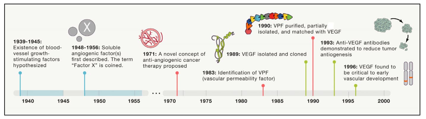 VEGF Historical Timeline Discovery
